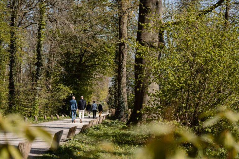 Leiders lopen samen door de natuur tijdens een leiderschapswandeling van De School voor Transitie over verbinding en persoonlijke veerkracht.